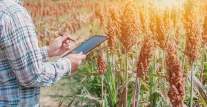 Benchmarking Crop Monitoring Technologies Improving Precision and Yield Visibility