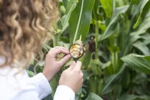 Evaluating Competitive Positioning Across Crop Protection Companies