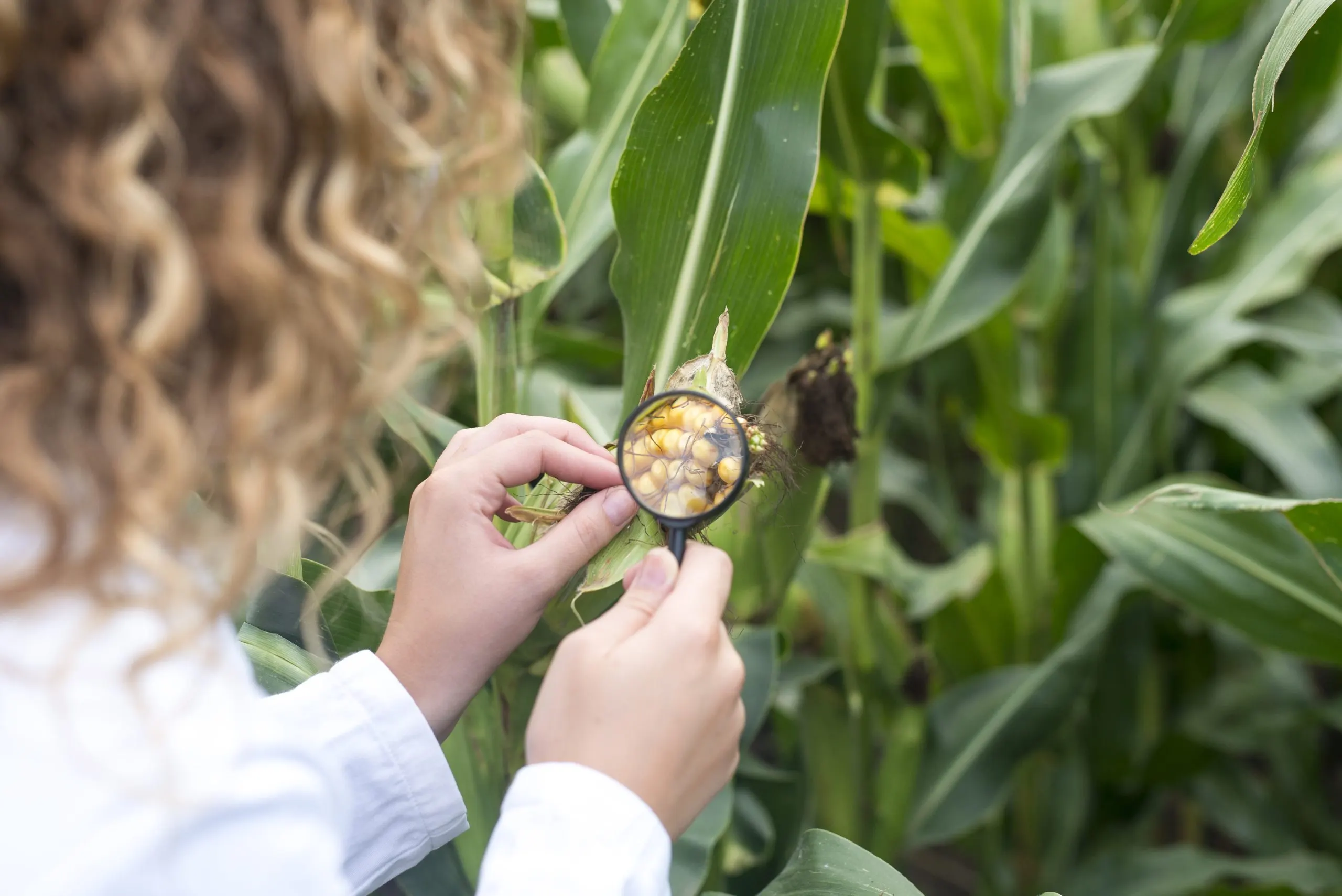 Evaluating Competitive Positioning Across Crop Protection Companies crop-protection-competitors-scaled