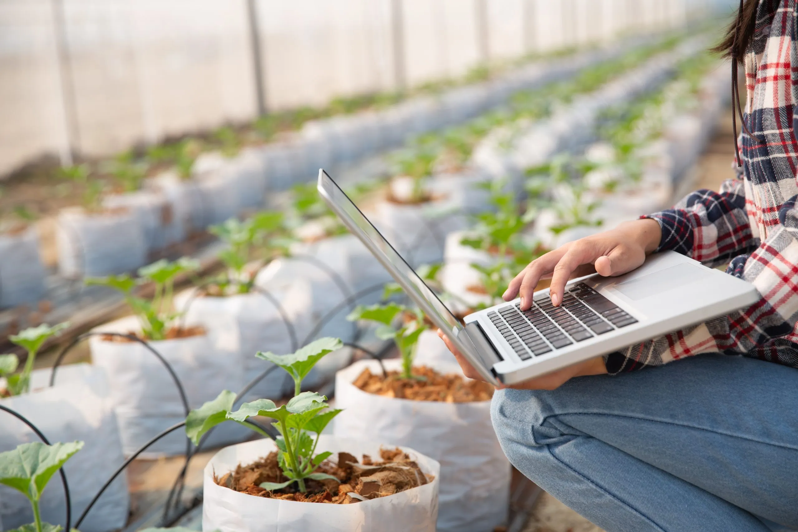 How Farm Management Platforms Improve Planning and Operational Visibility Across Farms farm-management-software-analysis-scaled