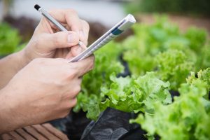 Benchmarking Productivity Across Farms Seeking Higher Yield and Resource Efficiency