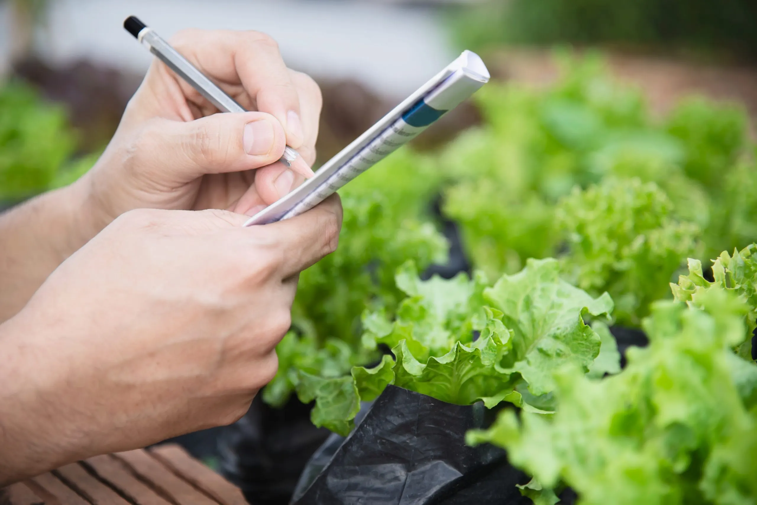 Benchmarking Productivity Across Farms Seeking Higher Yield and Resource Efficiency farm-productivity-benchmarking-scaled