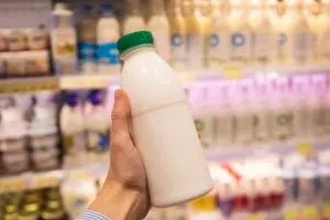 USA Dairy Alternatives Market Outlook to 2035