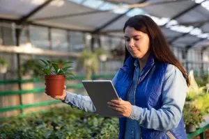Benchmarking Greenhouse Technologies Supporting Controlled Environment Agriculture