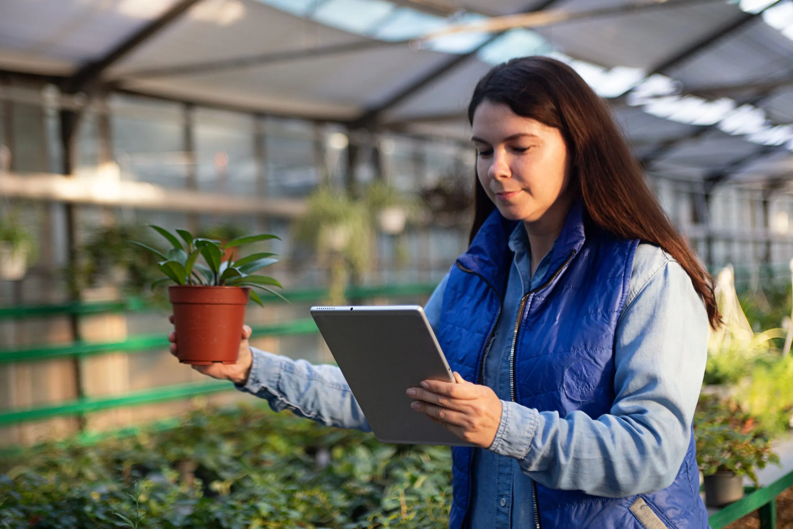 Benchmarking Greenhouse Technologies Supporting Controlled Environment Agriculture greenhouse-tech-benchmarking-scaled
