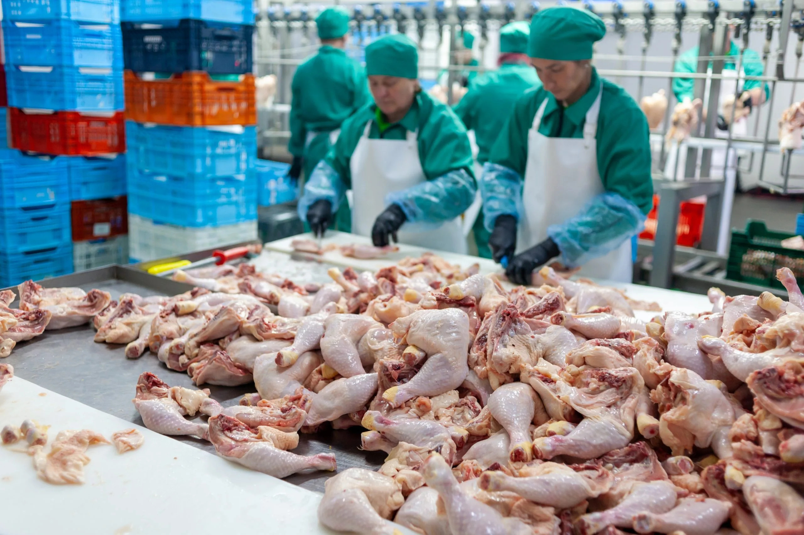 South Africa Poultry Meat Market Outlook to 2035 group-workers-factory-with-chicken-legs-table-scaled