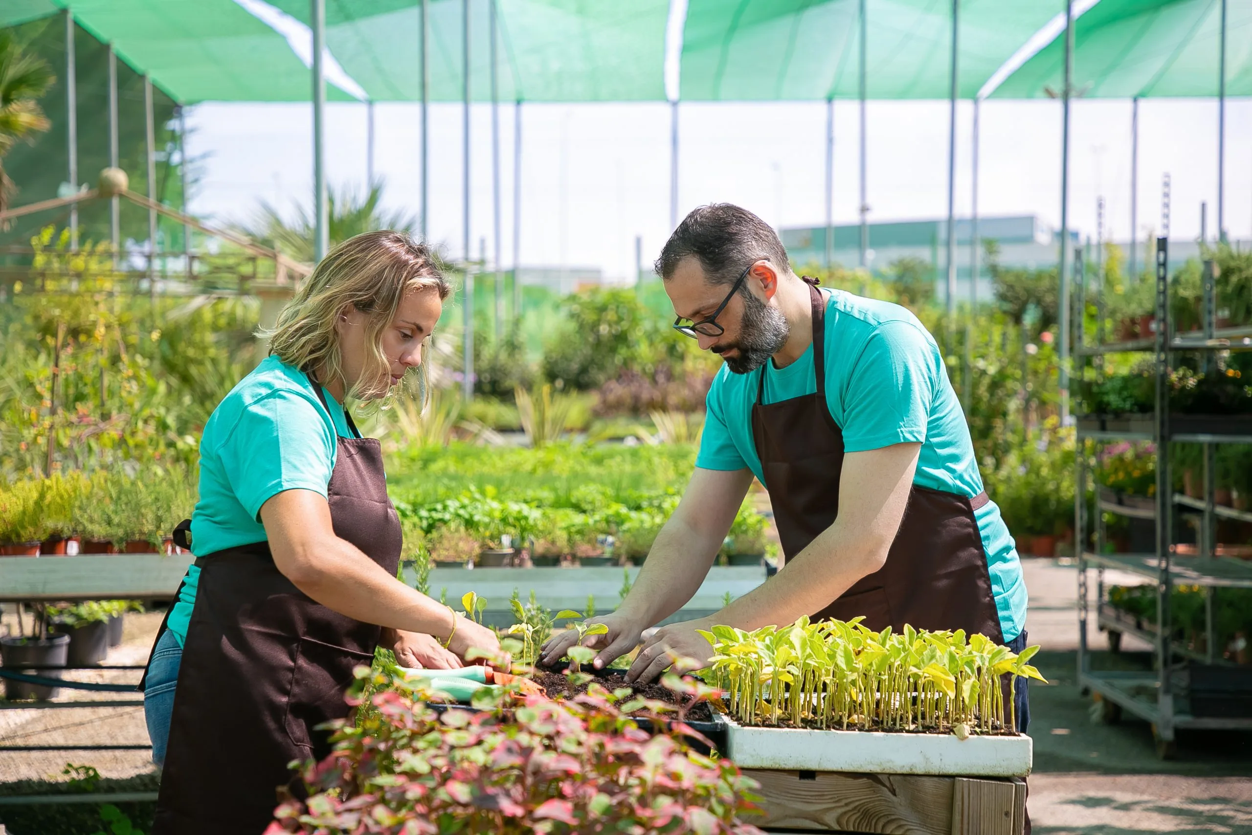 Evaluating Competitive Dynamics Across Horticulture Input Markets horticulture-input-competition-scaled