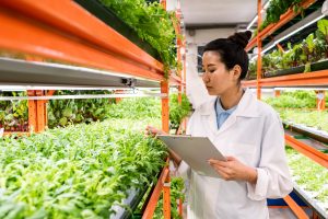 Benchmarking Hydroponics Solutions Supporting Resource-Efficient Food Production