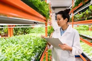Benchmarking Hydroponics Solutions Supporting Resource-Efficient Food Production