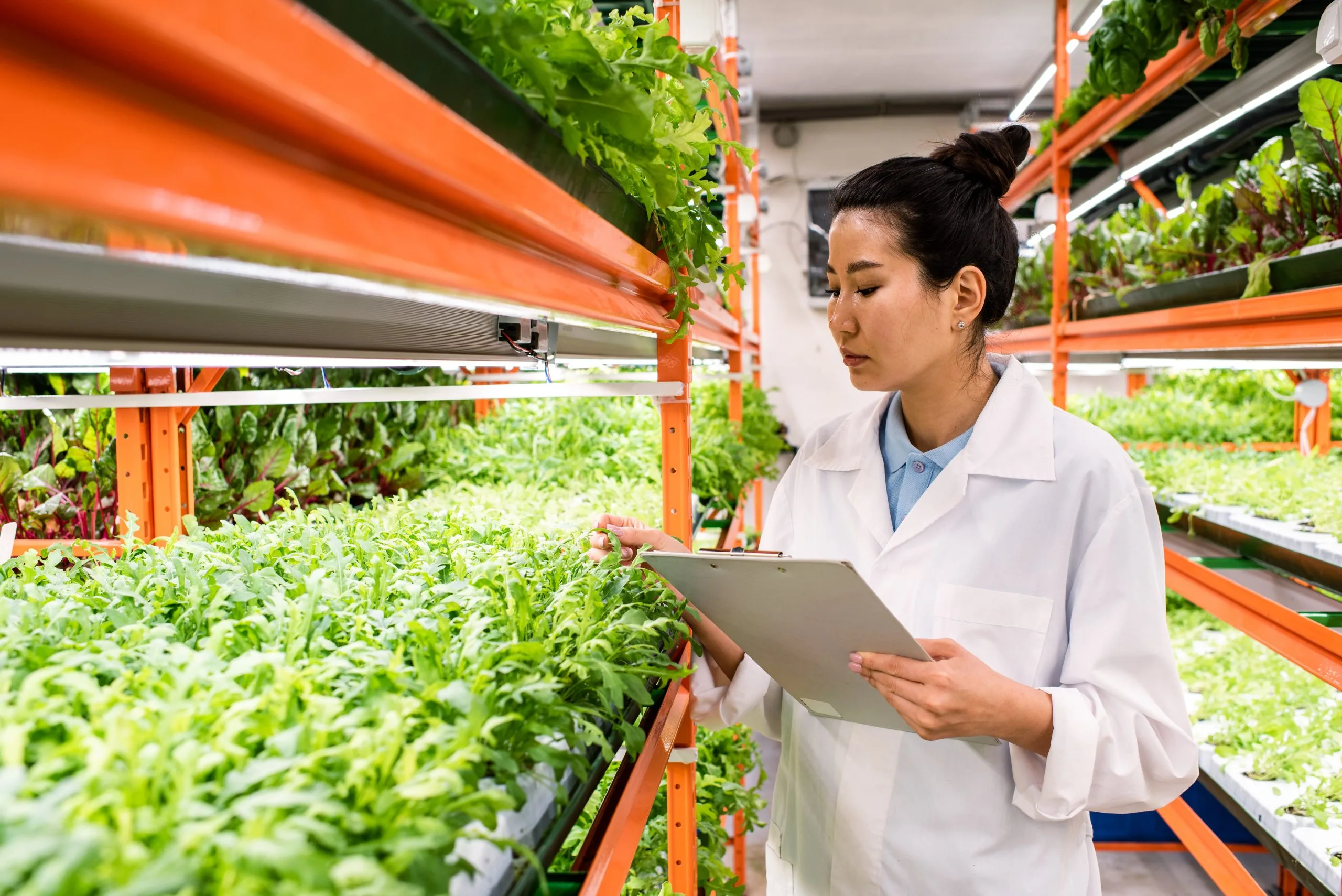 Benchmarking Hydroponics Solutions Supporting Resource-Efficient Food Production hydroponics-solutions-benchmarking-scaled