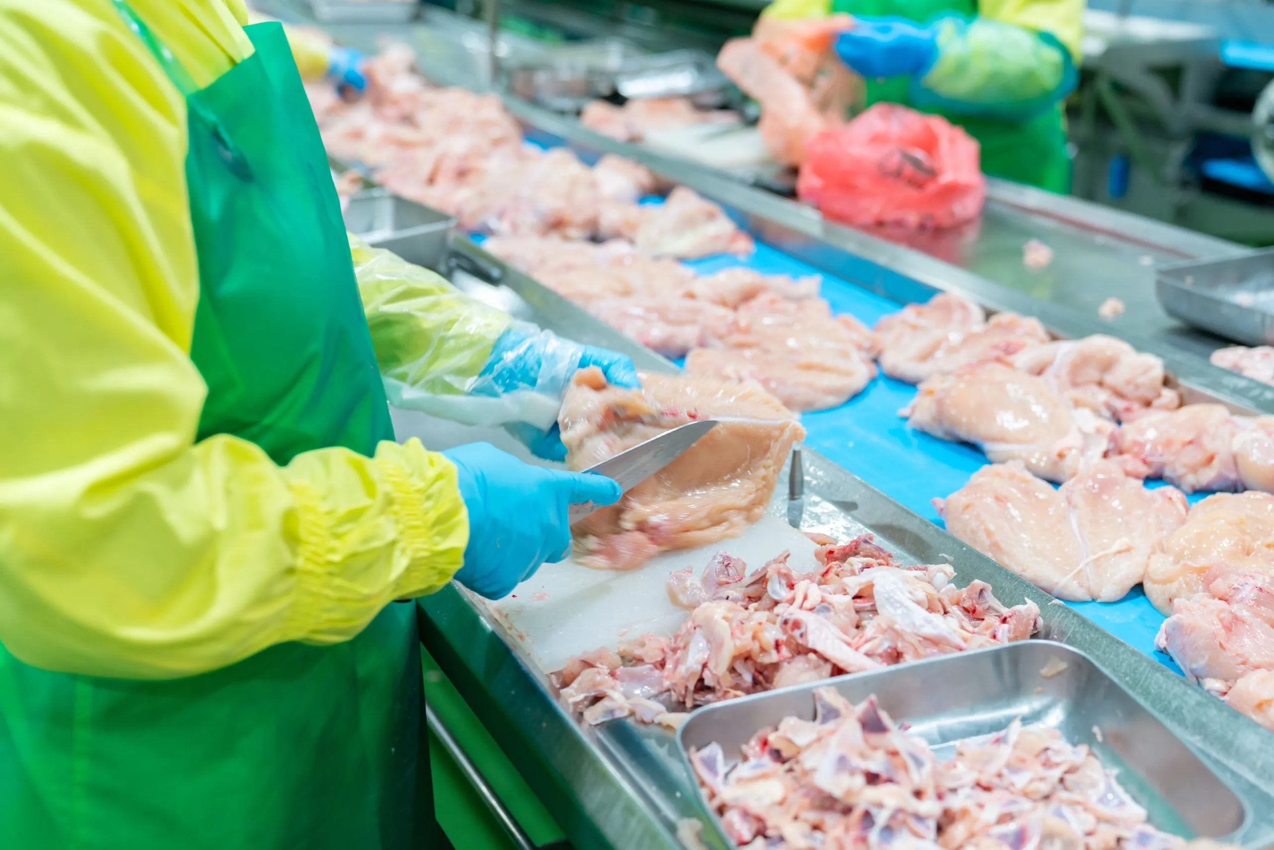 KSA Poultry Meat Market Outlook to 2035 hygienic-poultry-processing-factory-where-workers-perform-key-steps-production-line-scaled