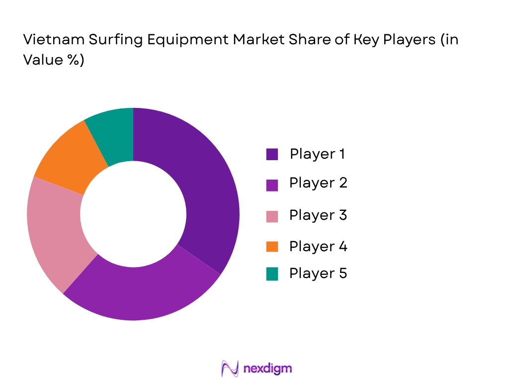 Vietnam surfing equipment market share of key players