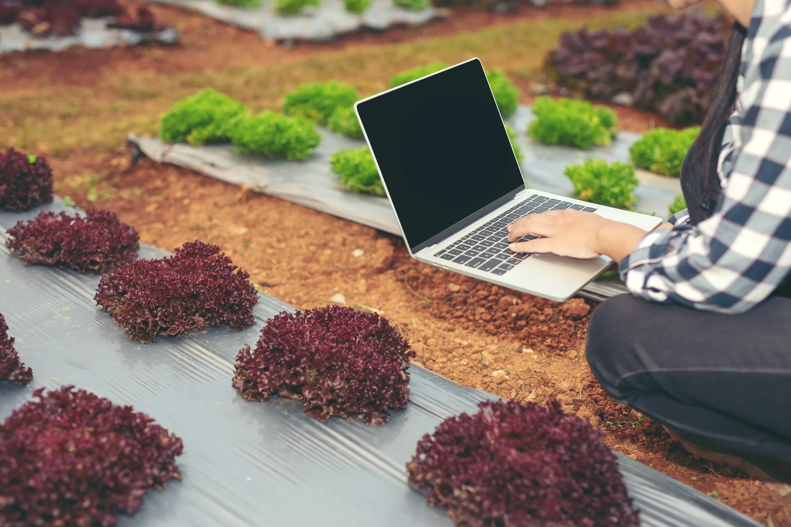 How Irrigation Technologies Compete in Water-Stressed Agricultural Economies irrigation-system-competitor-analysis-scaled