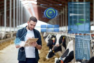 How Supply Chain Intelligence Improves Efficiency Across Livestock Distribution Networks