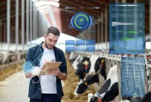 How Supply Chain Intelligence Improves Efficiency Across Livestock Distribution Networks