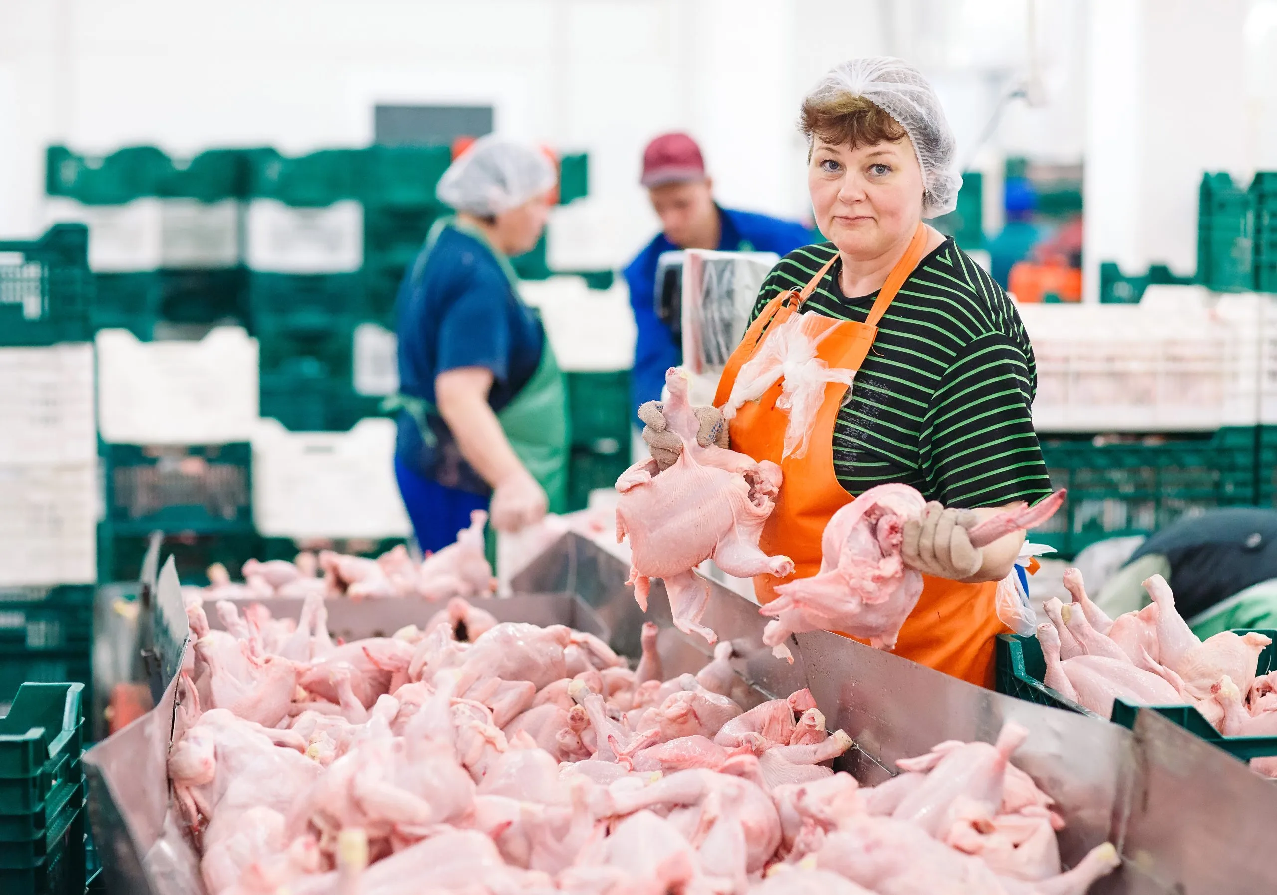 India Poultry Meat Market Outlook to 2035 meat-factory-chicken-conveyor-belt-scaled