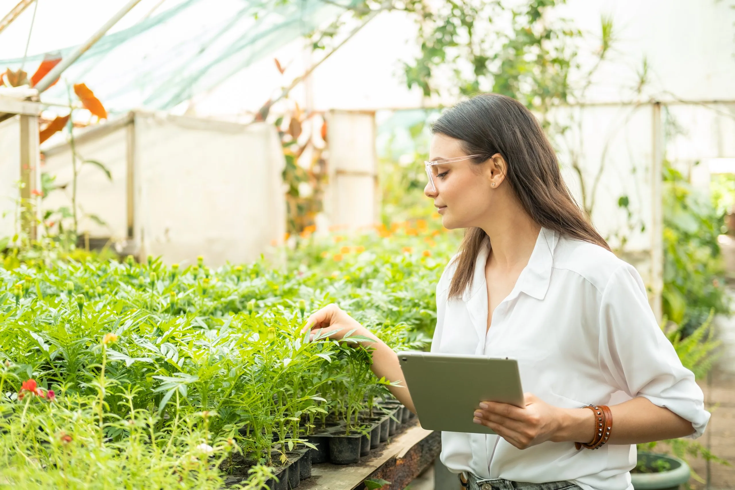 Benchmarking Regenerative Farming Models Focused on Soil and Ecosystem Restoration regenerative-farming-benchmarking-scaled