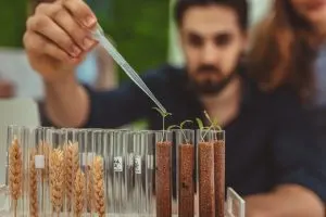 Benchmarking Seed Distribution Networks Expanding Market Reach Across Farming Regions