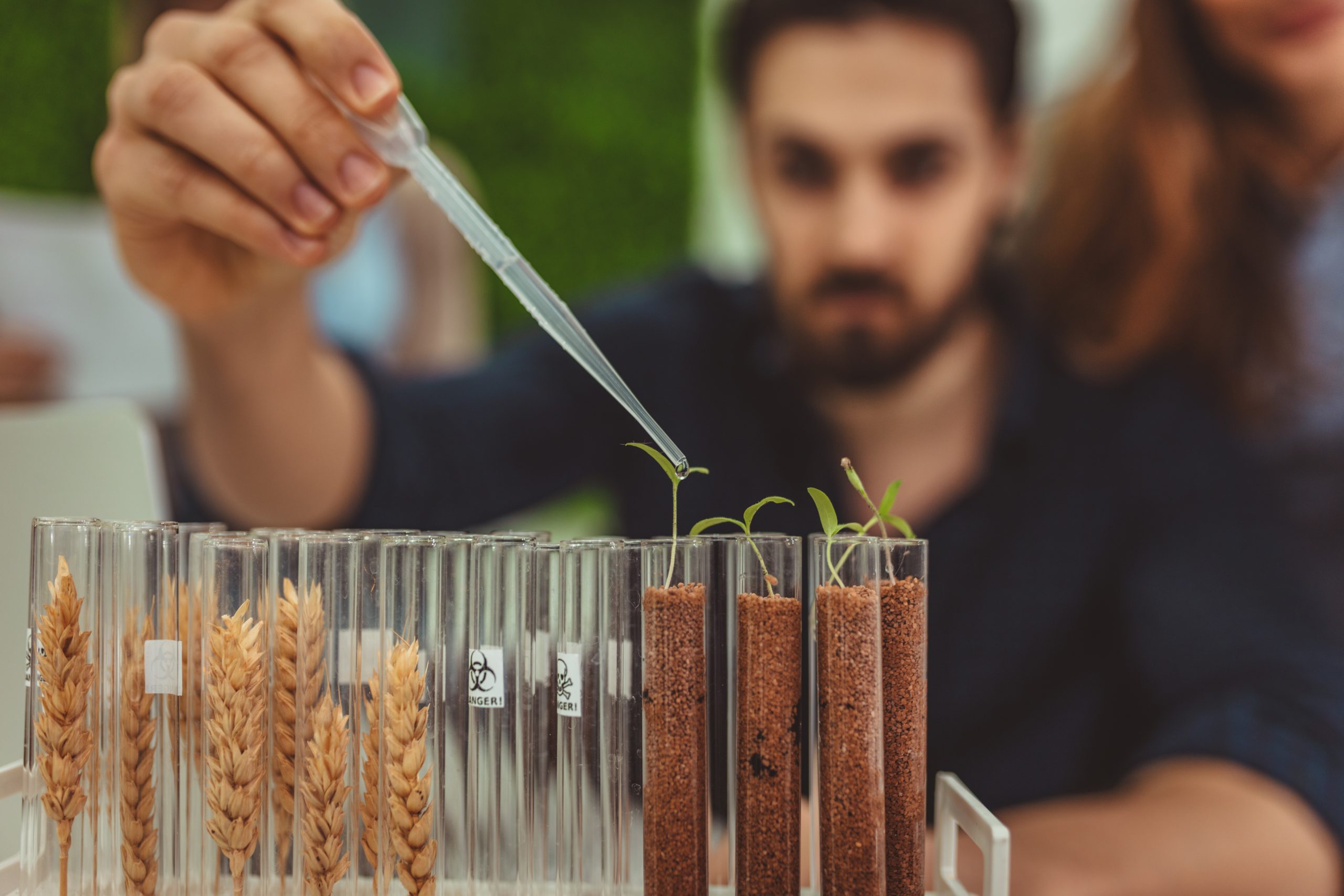 Benchmarking Seed Distribution Networks Expanding Market Reach Across Farming Regions seed-distribution-channel-benchmarking-scaled