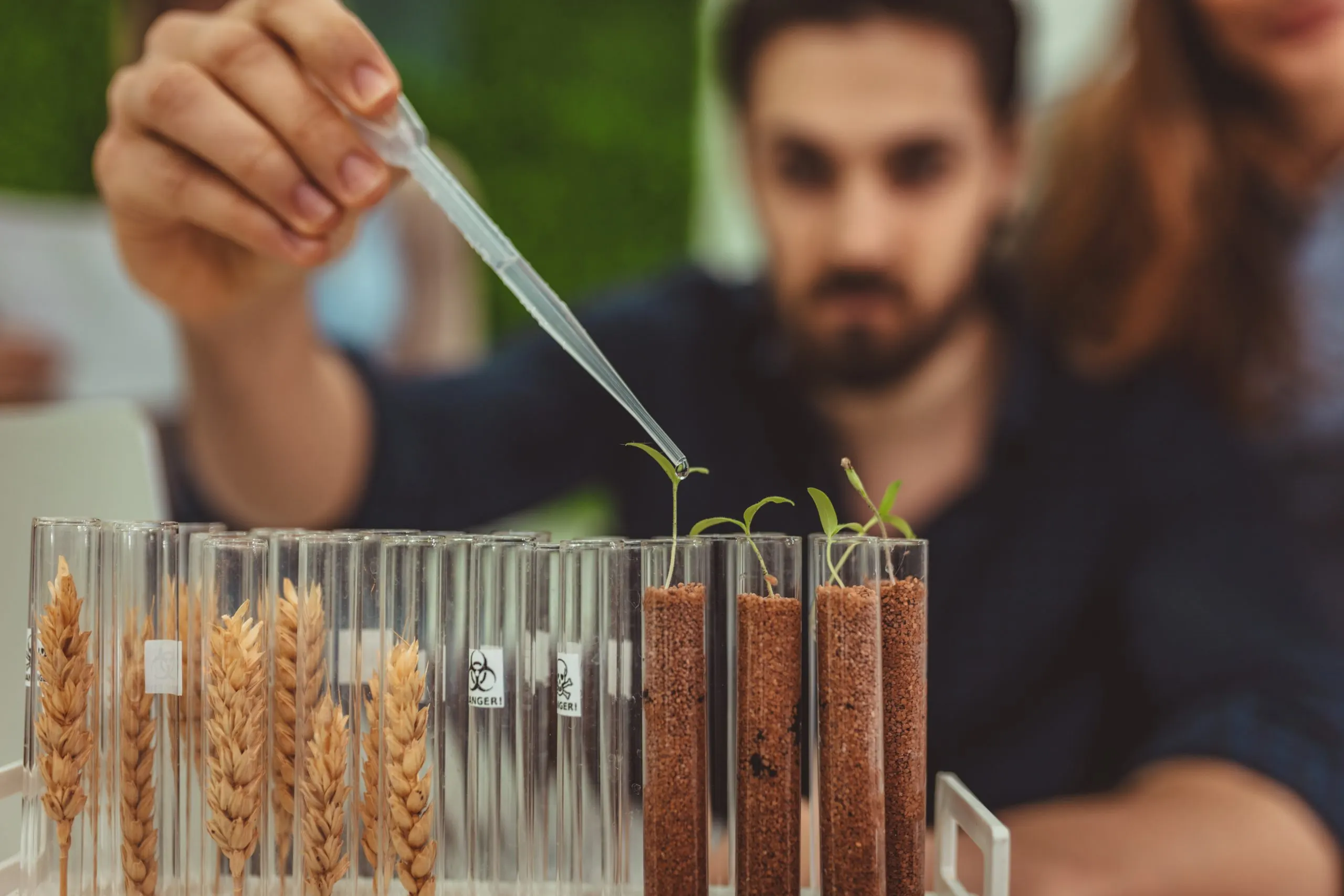 Benchmarking Seed Distribution Networks Expanding Market Reach Across Farming Regions seed-distribution-channel-benchmarking-scaled