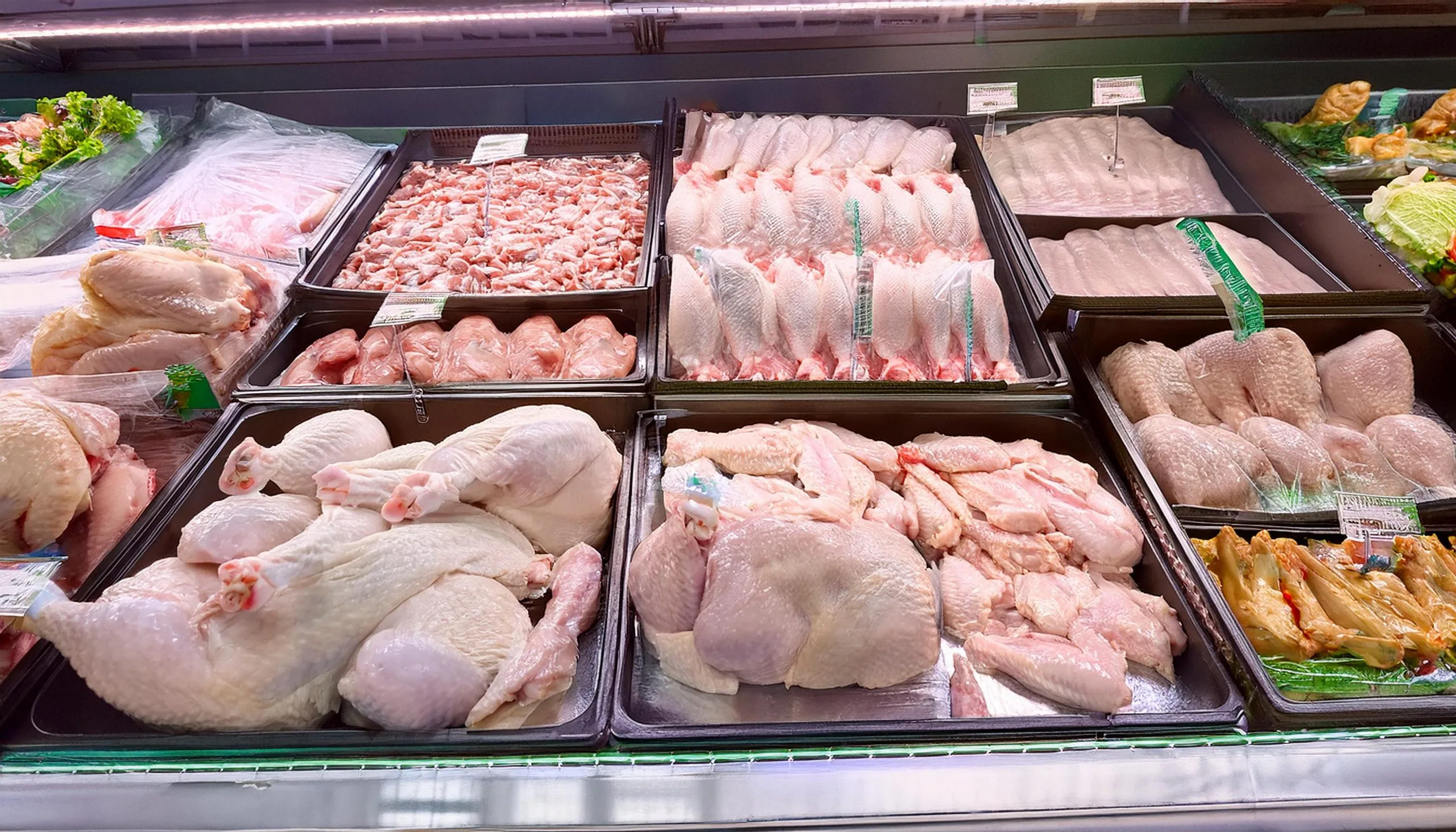Brazil Poultry Meat Market Outlook to 2035 wellstocked-poultry-section-supermarket-scaled