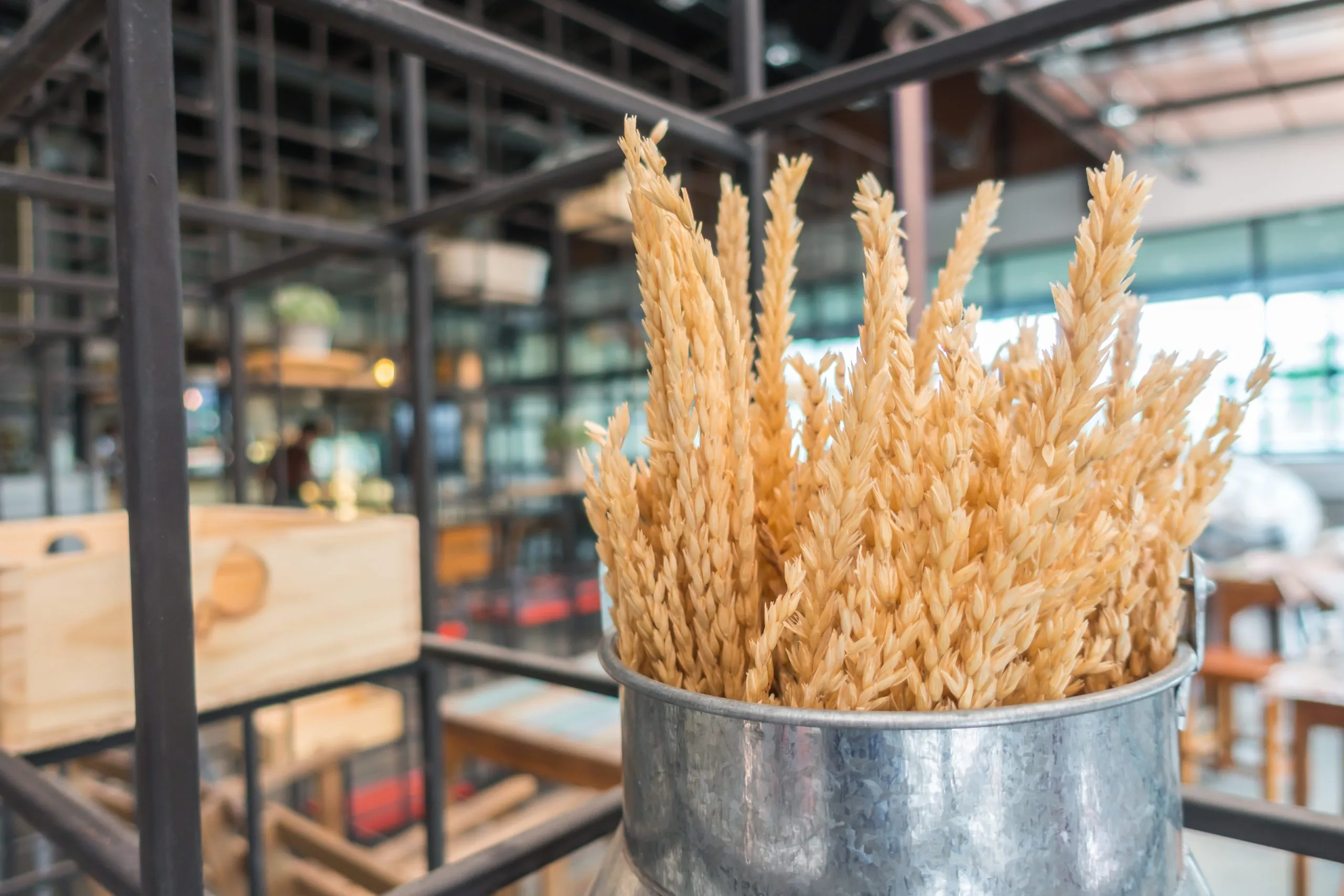 Benchmarking Wheat Markets Influenced by Climate and Trade Dynamics wheat-market-benchmarking-scaled