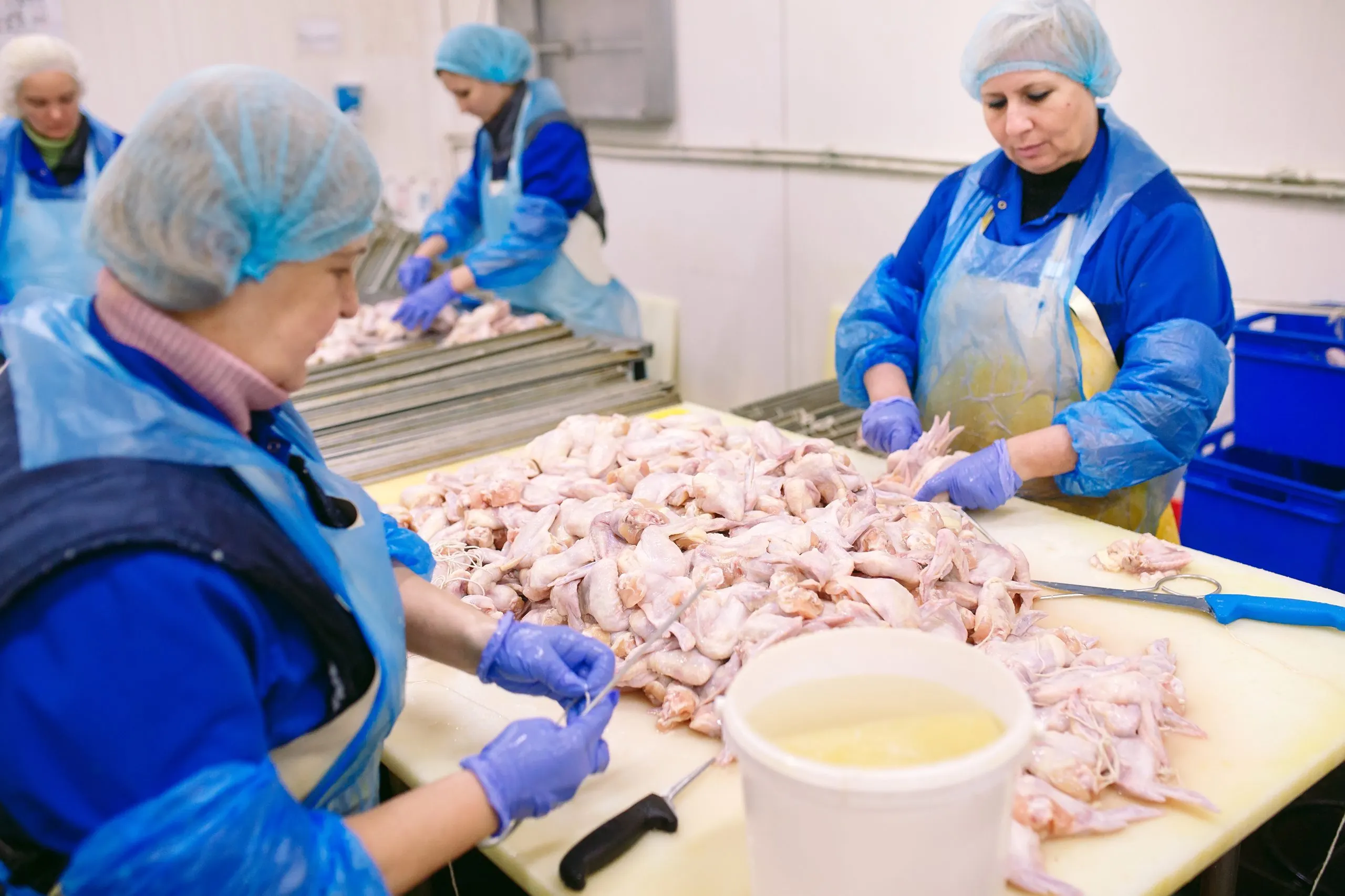 Singapore Poultry Meat Market Outlook to 2035 workers-working-chicken-meat-plant-scaled