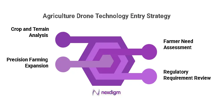 Agriculture Drone Technology Market Entry Strategy
