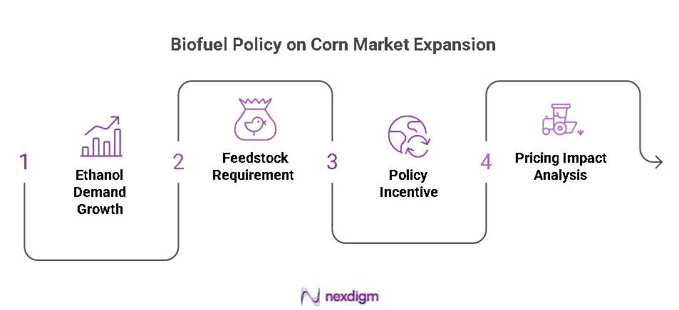 Biofuel Policies on Corn Market Expansion
