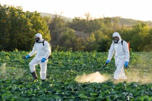 Brazil Crop Protection Pesticides Market Outlook to 2035