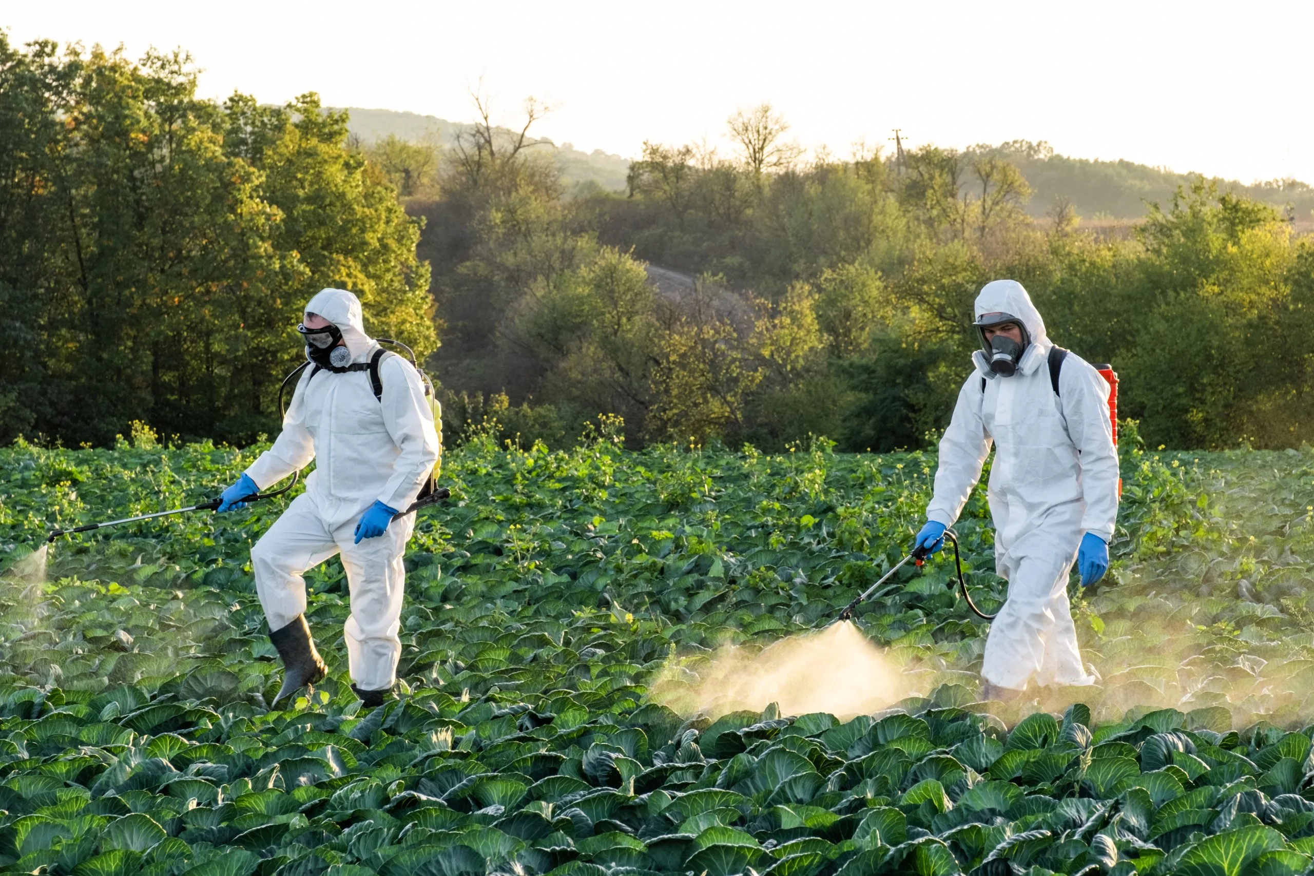 Brazil Crop Protection Pesticides Market Outlook to 2035 Brazil-Crop-Protection-Pesticides-Market-scaled