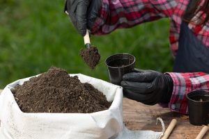 Brazil Fertilizer Market Outlook to 2035