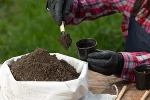 Brazil Fertilizer Market Outlook to 2035