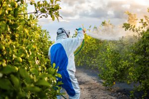 Brazil Herbicide Market Outlook to 2035