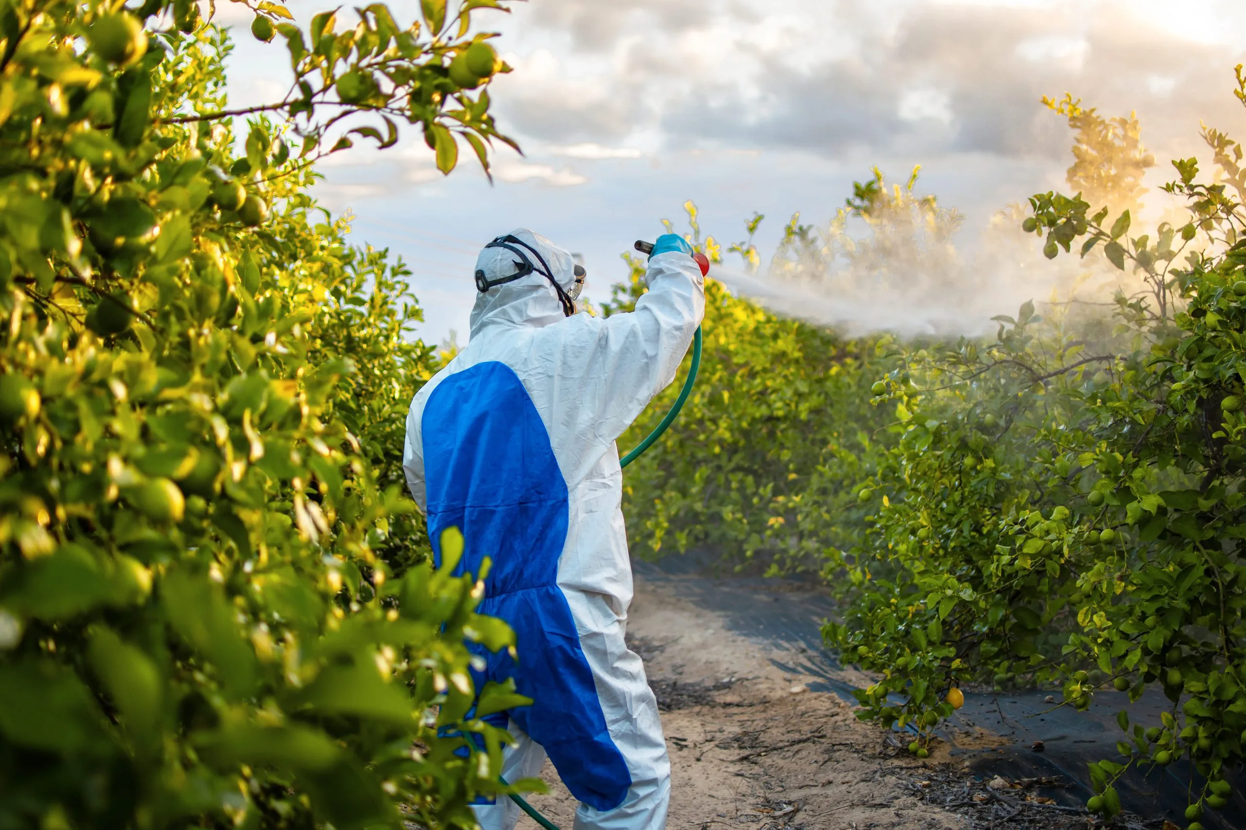 Brazil Herbicide Market Outlook to 2035 Brazil-Herbicide-Market-scaled