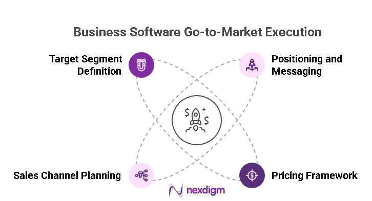 Business Software Go-to-Market Execution