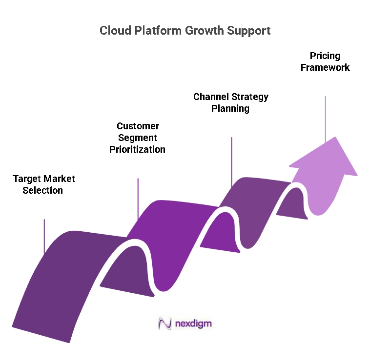 Cloud Platform Growth Strategy
