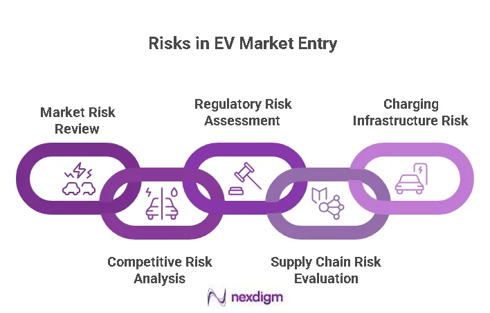 Competitive EV Market Entry