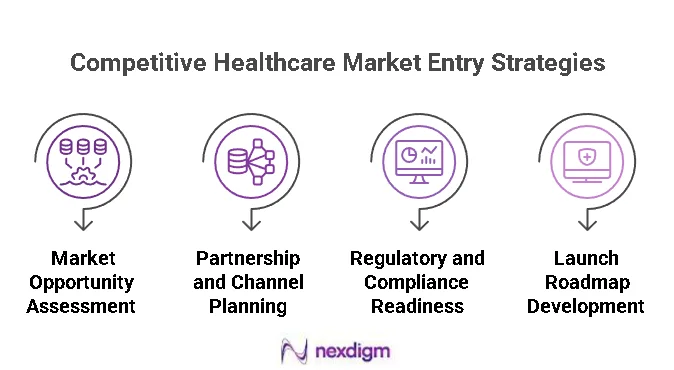 Competitive Healthcare Market Entry Strategy