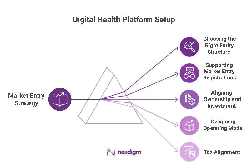 Digital Health Platform Setup
