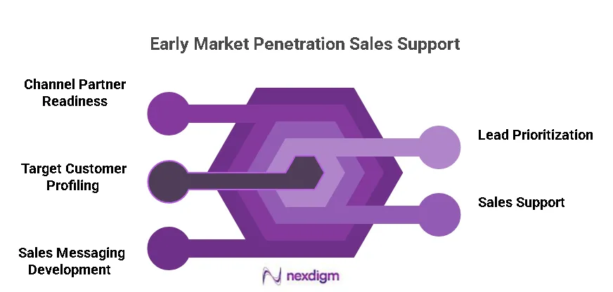 Early Market Penetration Analysis