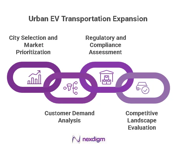 Electric Mobility Market Entry Strategy
