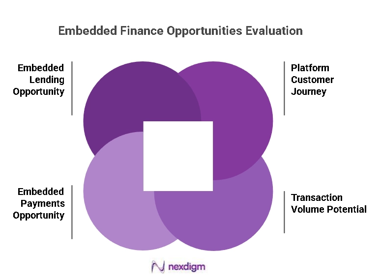 Embedded Finance Opportunities Evaluation
