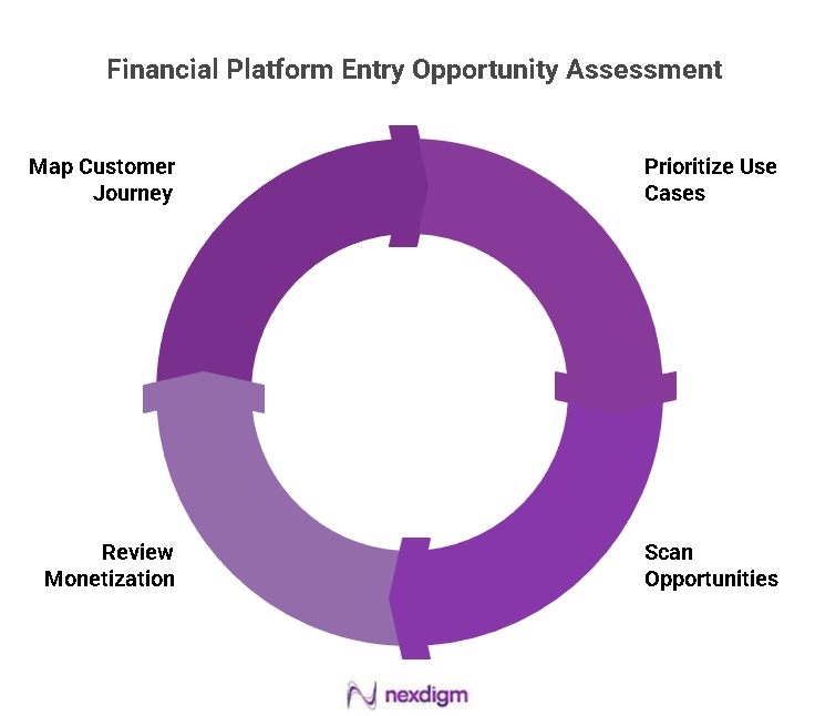 Financial Platform entry Opportunity Assessment