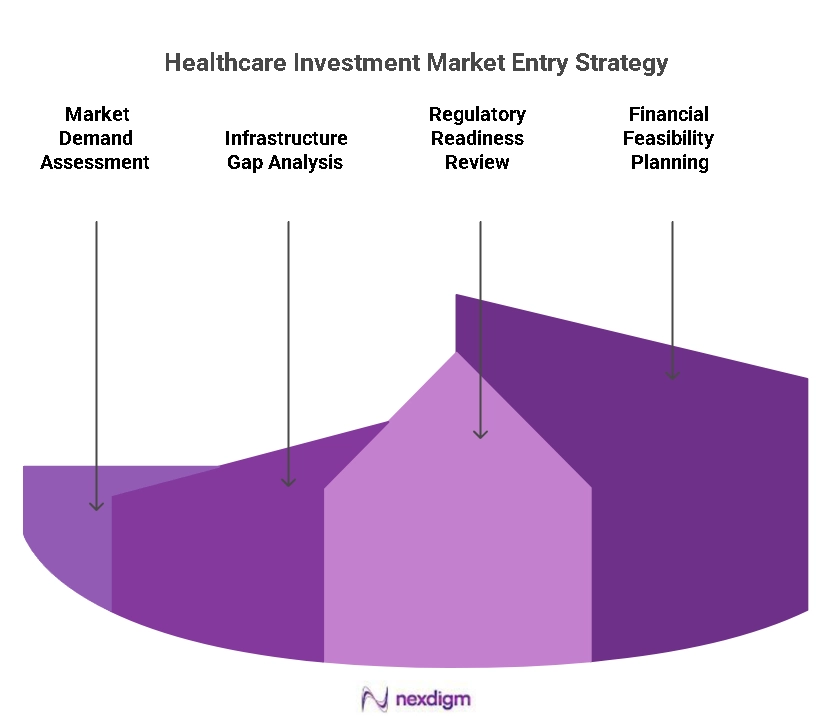 Healthcare Investment Market Entry Strategy