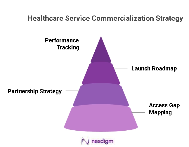 Healthcare Service Commercialization Strategy