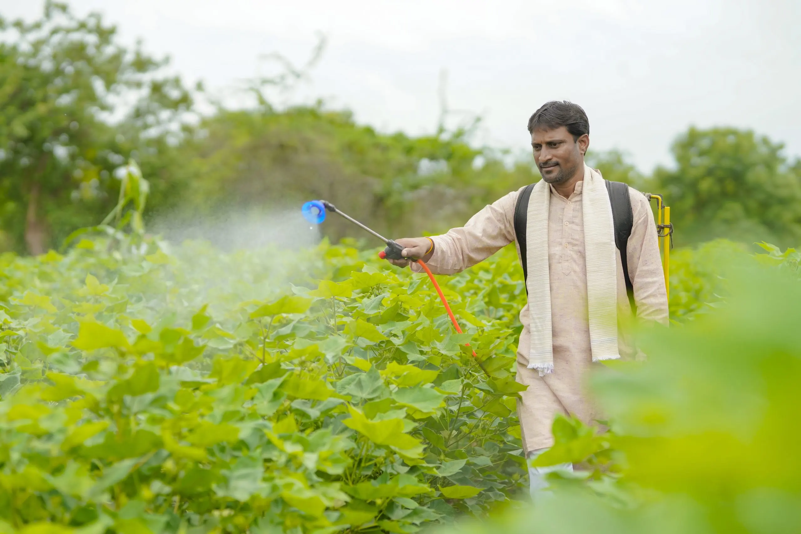 India Crop Protection Pesticides Market Outlook to 2035 India-Crop-Protection-Pesticides-Market-scaled