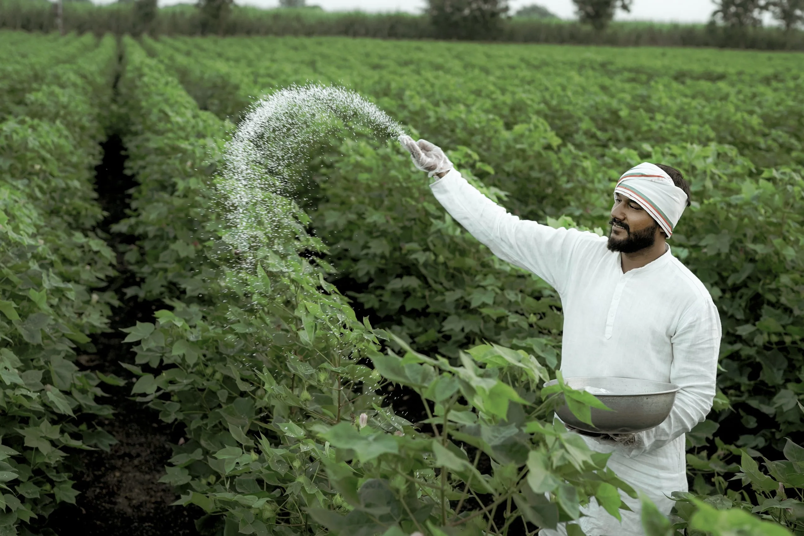 India Fertilizer Market Outlook to 2035 India-Fertilizer-Market-scaled