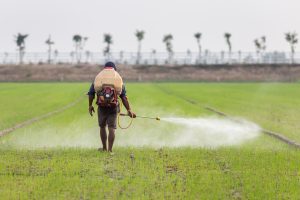 India Herbicide Market Outlook to 2035