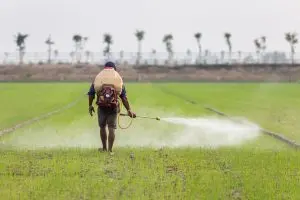 India Herbicide Market Outlook to 2035